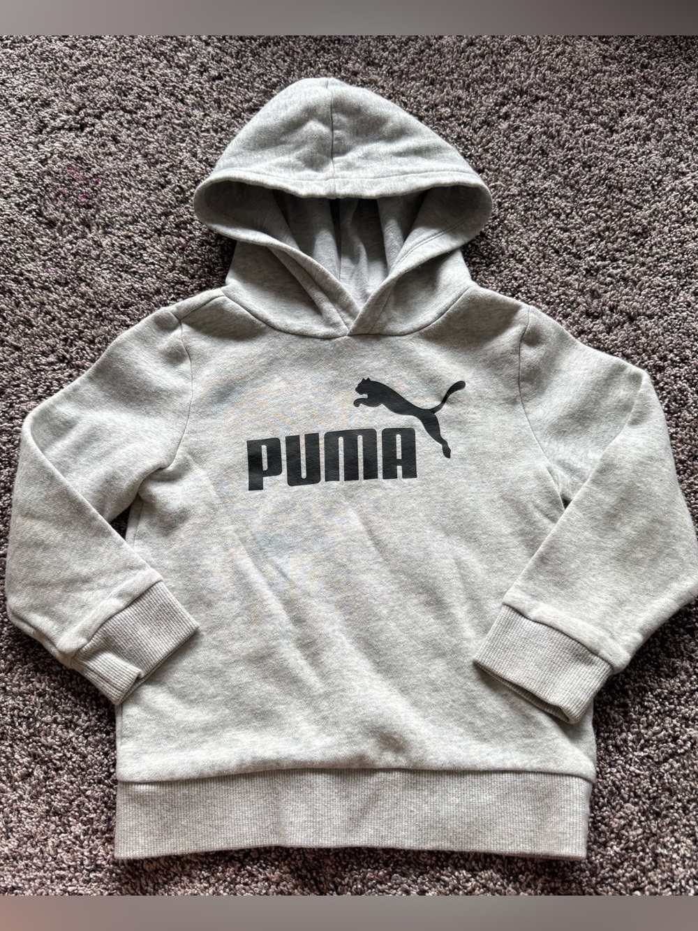 Puma Light Gray Logo Kids Hooded Sweatshirt
